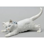 Katze Meissen/ cat