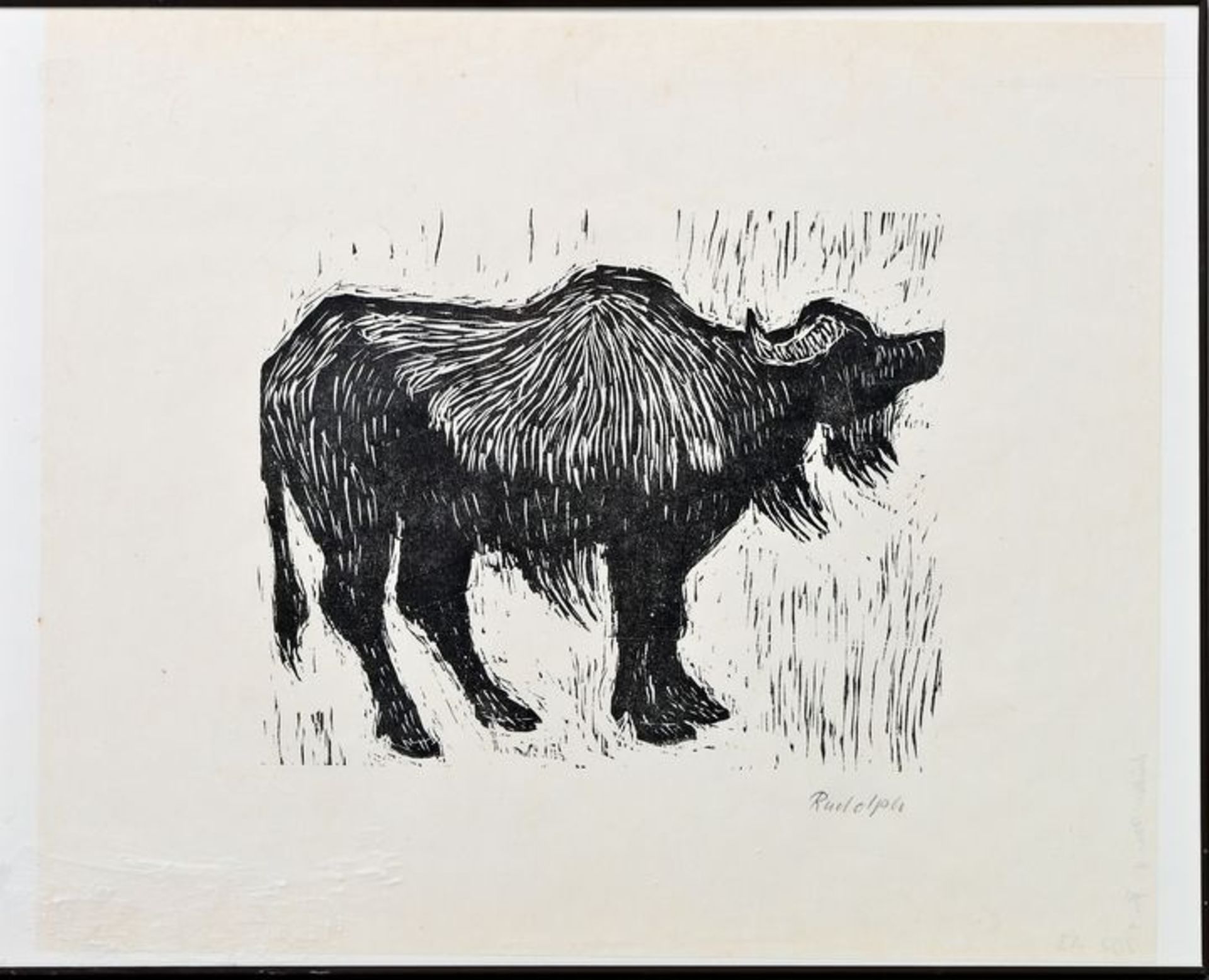 Rudolph: Wasserbüffel/ water buffalo - Image 2 of 3