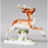 Springender Hirsch, Meissen / porcelain figure, stag