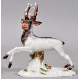 kl. Hirsch, Meissen / porcelain figure, hind