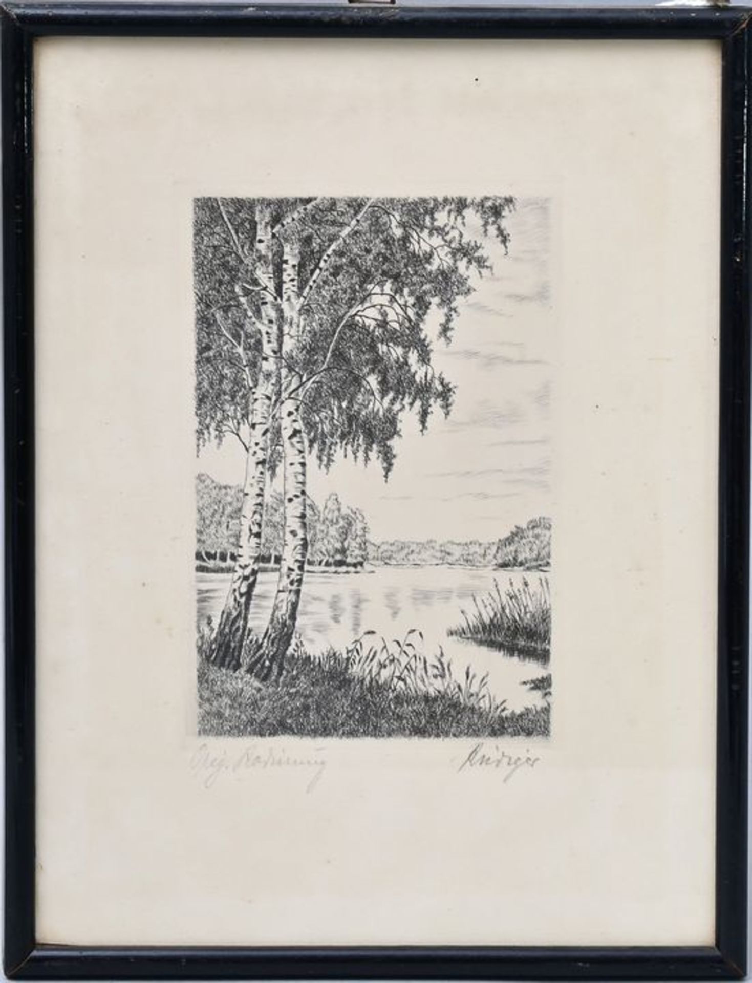 Rüdiger, Birken am See / etching - Bild 3 aus 3