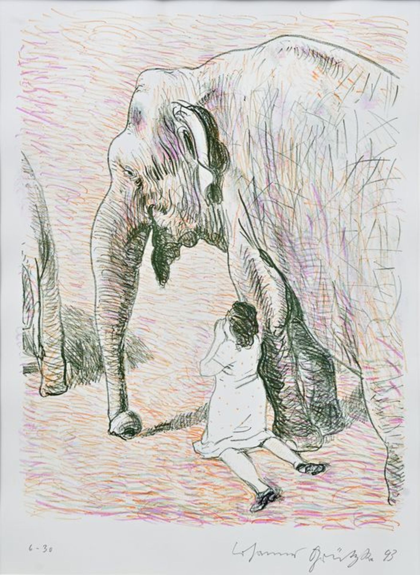 Am Elefant/ elephant