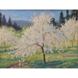 Frühlingslandschaft/ spring