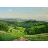 Frühlingslandschaft / Spring time landscape