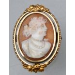 Brosche mit Muschelkamee/ cameo brooch