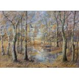 Hildebrandt, P.: Herbstwald/ in the woods in autumn