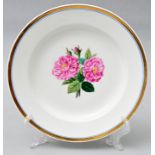 Teller mit botanischem Dekor/ plate