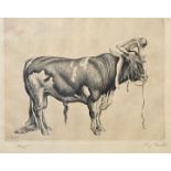 DIe Stärkere/ nude sitting on a bull