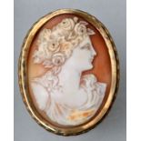 Brosche mit Muschelkamee/ cameo brooch