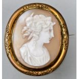 Brosche mit Muschelkamee/ cameo brooch