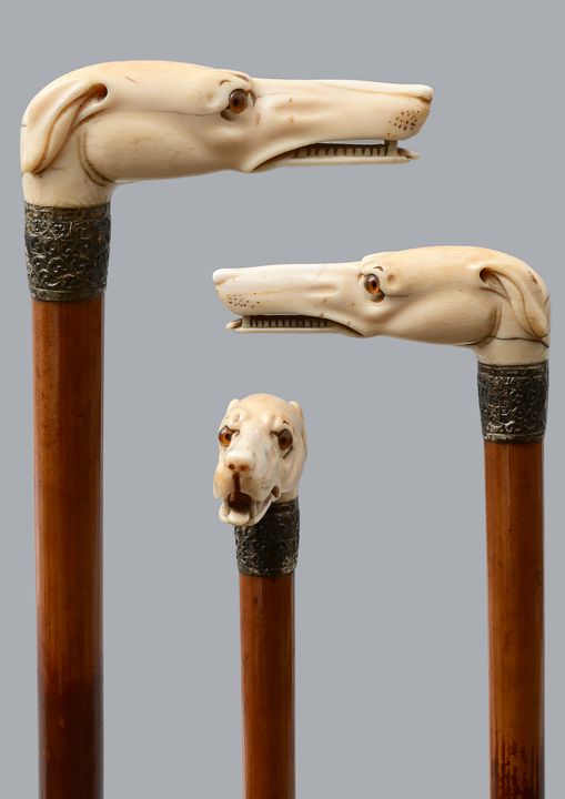 Spazierstock mit Elfenbeinknauf / Cane with ivory knob