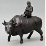 Junge auf Wasserbüffel/ boy riding on a water buffalo