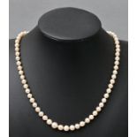 Perlenkette/ pearl necklace