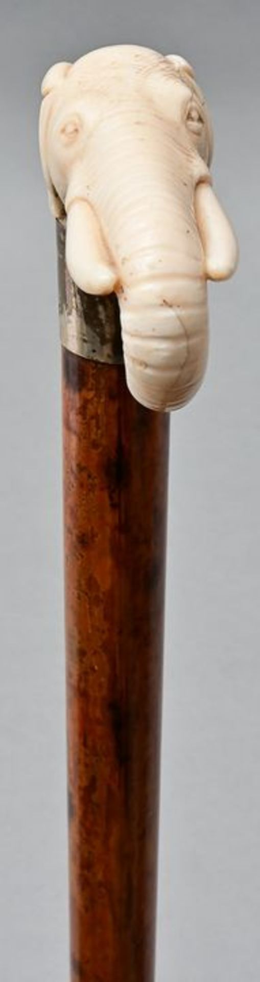 Spazierstock mit Elfenbeinknauf / Cane with ivory knob - Bild 4 aus 7