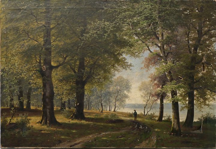 van Poorten, Waldstück / van Poorten, In the woods