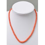 Koralle-Kette/ coral necklace