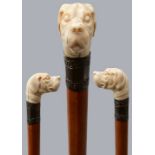 Spazierstock mit Elfenbeinknauf / Cane with ivory knob