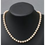 Perlenkette/ pearl necklace
