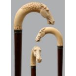 Spazierstock mit Elfenbeinknauf / Cane with ivory knob