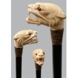 Spazierstock mit Elfenbeinknauf / Cane with ivory knob