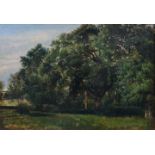 Dreyer, Dankvart, Landschaft / landscape