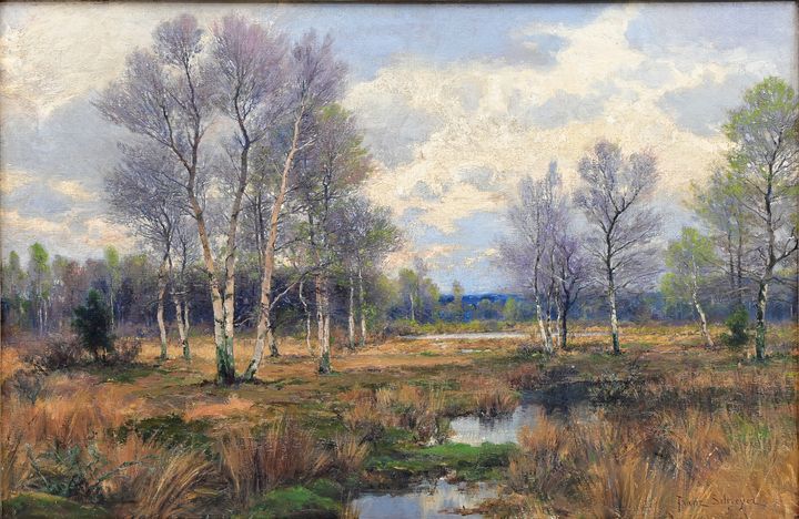 Schreyer, Franz, Frühling im Moor / landscape painting