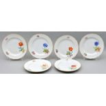 Sechs Speiseteller, Meissen / Six dinner plates, Meissen