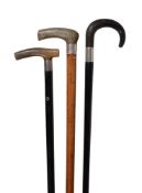 Y A group of three horn handled walking sticks