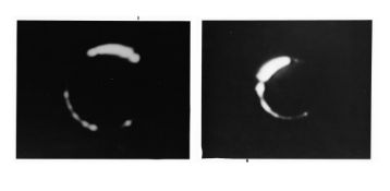 The first eclipse of the Sun by Earth observed by humans (two views), Surveyor 3, 24 Apr 1967