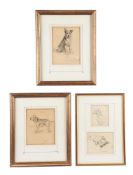 λ Lucy Dawson (British 1875-1954), Studies of dogs, to include 9 separate sketches