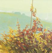 λ Alan Cotton (British b. 1936), Piemonte, Late Autumn Vines