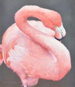 λ David Ord Kerr (British b. 1954), Greater Flamingo I; Greater Flamingo II