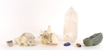 A collection of various minerals and fragments