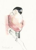 Laura Andrew, Bullfinch (Female)