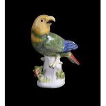 A MEISSEN MODEL OF A PARROT, CIRCA 1740