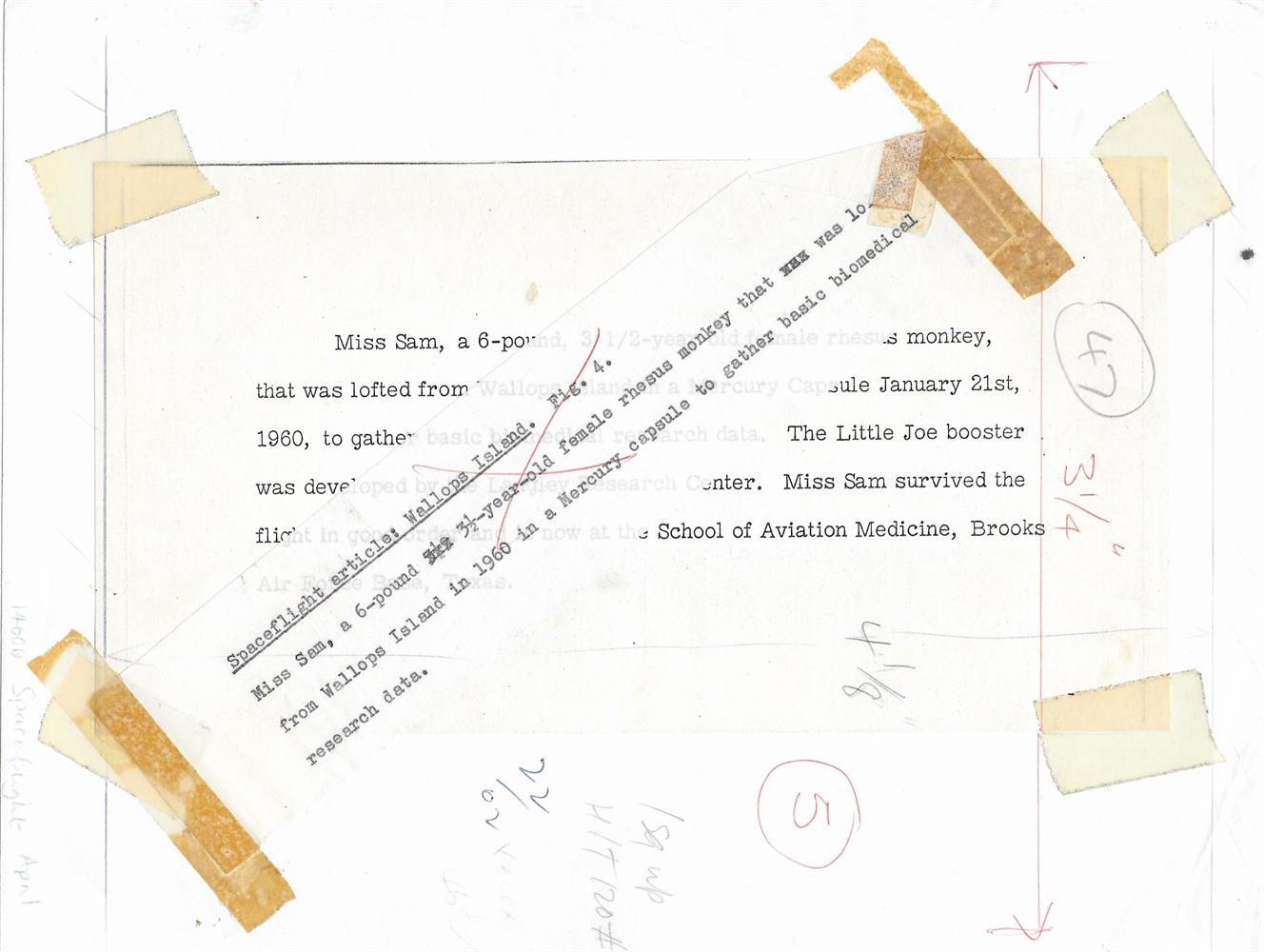 Miss Sam, Mercury Programme, 21 Jan 1960 - Image 2 of 2