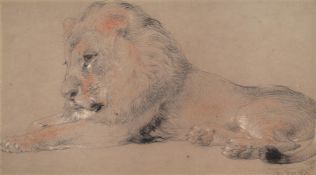 WILLIAM HUGGINS (BRITISH 1824-1910), LION RESTING