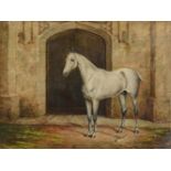 BRITISH SCHOOL (19TH CENTURY), QUICKSILVER, STUDY OF A POLO PONY