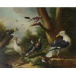 MANNER OF MELCHIOR DE HONDECOETER (20TH CENTURY), BIRDS IN A LANDSCAPE