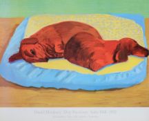 λ DAVID HOCKNEY (BRITISH B. 1937), DOG PAINTING 43