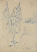 JOHN ANSTER FITZGERALD (BRITISH 1832-1906), SKETCH OF A FAIRY IN A FLOWER HEAD