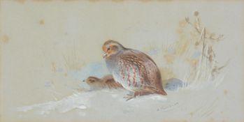 ARCHIBALD THORBURN (BRITISH 1860-1935), PARTRIDGES IN THE SNOW