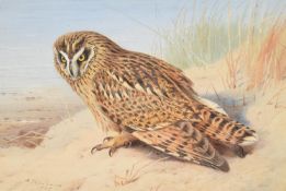 ARCHIBALD THORBURN (BRITISH 1860-1935), OWL