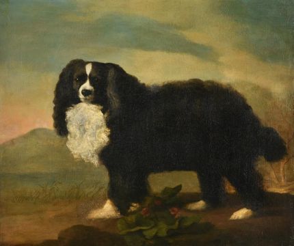 GEORGE STUBBS (BRITISH 1724-1806), A KING CHARLES SPANIEL IN A LANDSCAPE