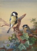 ARCHIBALD THORBURN (BRITISH 1860-1935), BLUE TITS ON AN IVY COVERED DEAD BRANCH