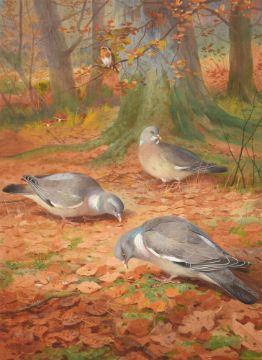 ARCHIBALD THORBURN (BRITISH 1860-1935), AUTUMN (WOOD PIGEONS)