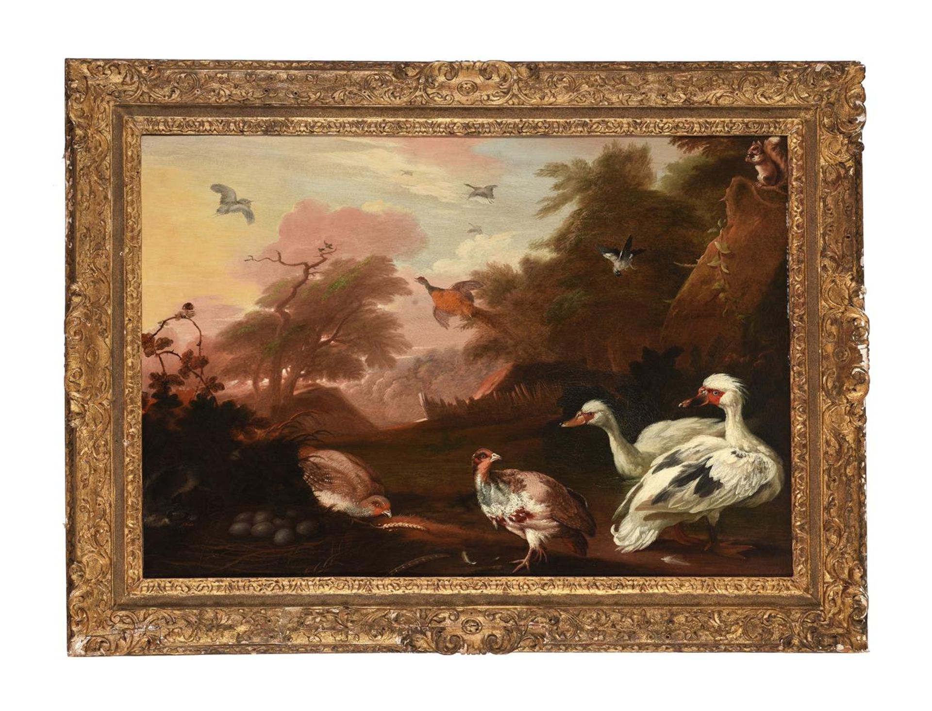 MARMADUKE CRADDOCK (BRITISH 1660-1717), MUSCOVY DUCKS, PARTRIDGES AND A PHEASANT IN A LANDSCAPE - Image 2 of 3