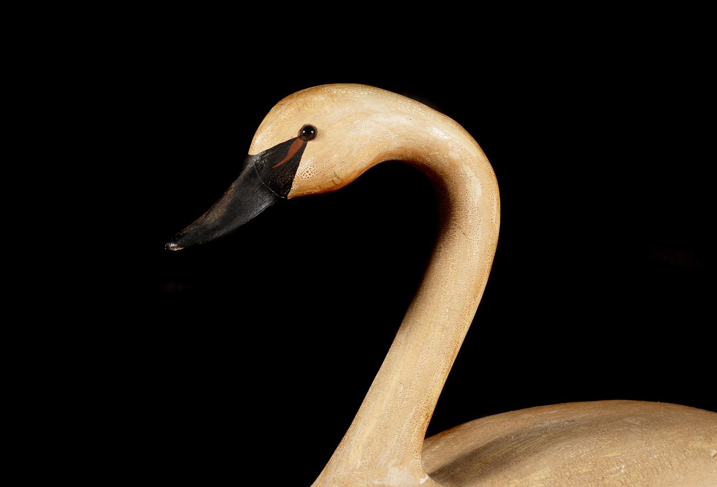 A COMPOSTION AND PAINTED MODEL OF A SWAN, 20TH CENTURY - Image 3 of 4