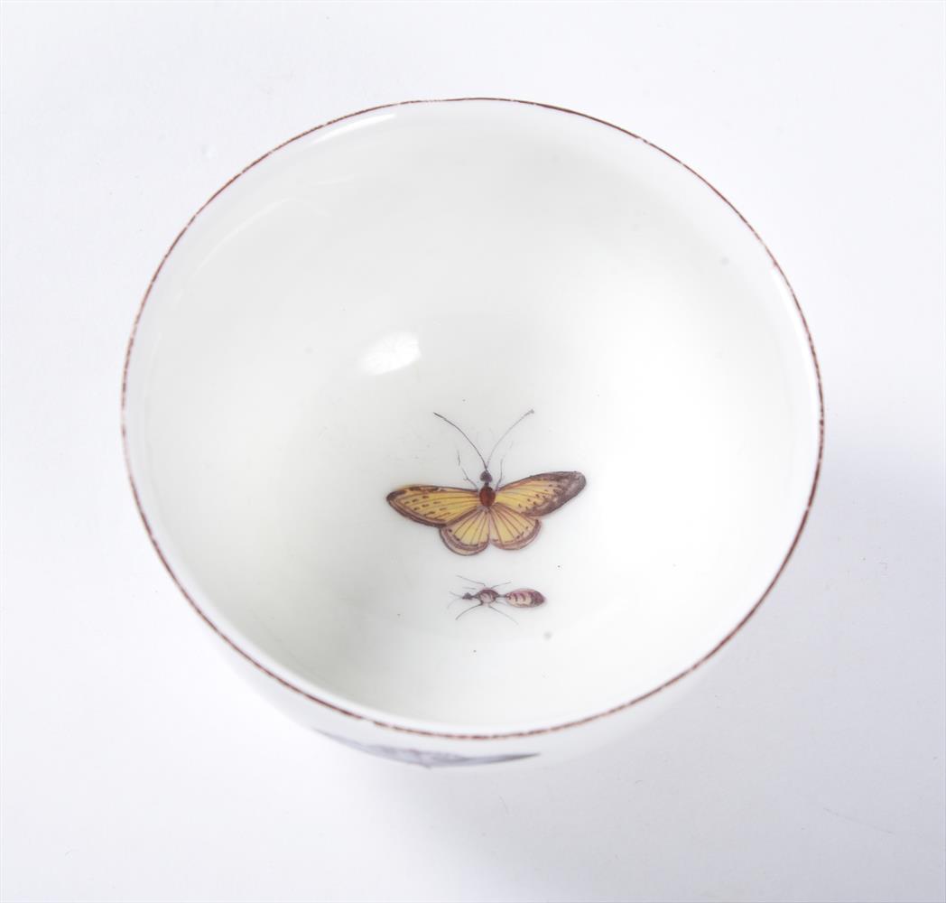 A CHELSEA TEA BOWL AND SAUCER PAINTED WITH EXOTIC BIRDS, CIRCA 1756 - Image 3 of 4