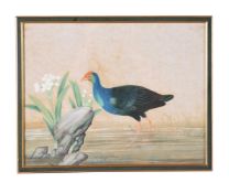A MATCHED SET OF FIFTEEN ANGLO-CHINESE WATERCOLOURS OF BIRDS, LATE 19TH/EARLY 20TH CENTURY